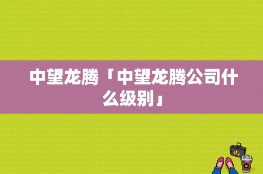  中望龙腾「中望龙腾公司什么级别」